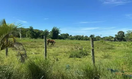Terreno à venda no Jardim Sabaúna, Itanhaém 