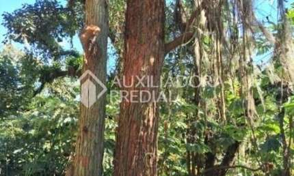 Terreno comercial à venda na Estrada Martim Afonso de Souza, 1, Balneária, São Bernardo do Campo por R$ 1.800.000