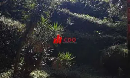 Embu Condomínio do Bosque, casa com 4 dormitórios sendo 1 suíte,3 salas,útil de 400m²