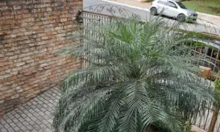 Casa com 3 quartos à venda na praça marechal rodrigues ribas junior, --, jardim anália franco, são paulo, 400 m2 por r$ 1.850.000