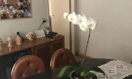 Casa em condomínio fechado com 3 quartos à venda na Rua Mafalda, --, Vila Formosa, São Paulo, 200 m2 por R$ 905.000