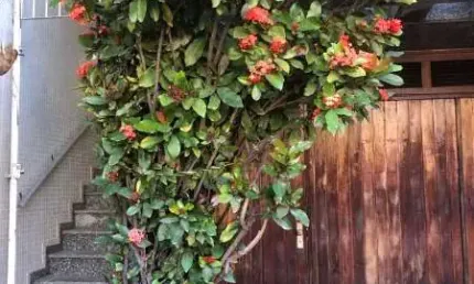 Casa com 2 quartos à venda na rua cervantes, --, parque da mooca, são paulo, 120 m2 por r$ 900.000