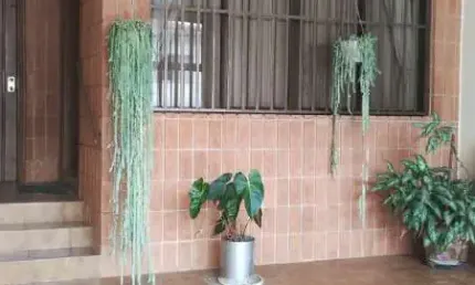 Casa com 3 quartos à venda na Rua Ibirá, --, Mooca, São Paulo, 200 m2 por R$ 1.200.000