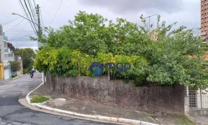 Terreno à venda na Rua Ibéria, 197, Vila Isolina Mazzei, São Paulo
