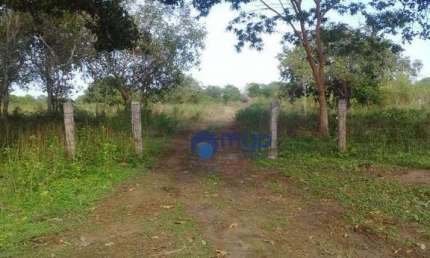Fazenda à venda em São Felix do Araguaia - 250 Hectares - São Felix do Araguaia/MT