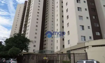 Aparamento com 3 quartos, à venda no parque novo mundo - 80 m² - são paulo/sp