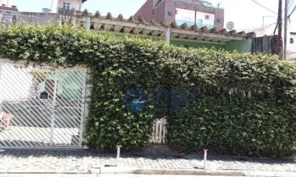 Terreno à venda, 333 m² por R$ 800.000,00 - Vila Constança - São Paulo/SP