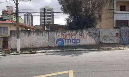 Terreno à venda, 800 m² por R$ 3.200.000,00 - Vila Guilherme - São Paulo/SP
