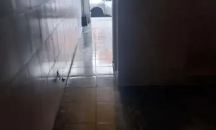 Salão Comercial para Locação em São Paulo, Parque Cisper, 1 banheiro
