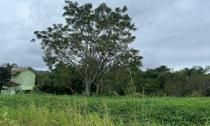 Terreno à venda na Avenida Alberto Santos Dumont, Carianos, Florianópolis por R$ 380.000