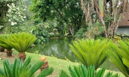 Chácara / sítio com 5 quartos à venda no Encano, Indaial , 188 m2 por R$ 1.500.000