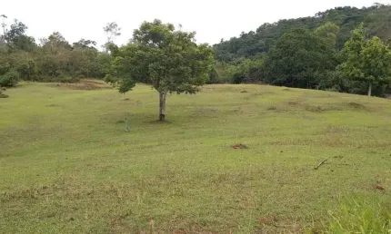 Terreno comercial à venda no Testo Salto, Blumenau  por R$ 1.700.000