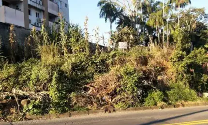 Terreno comercial à venda no Salto Weissbach, Blumenau  por R$ 399.000