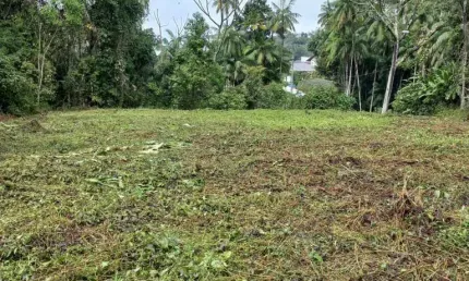 Terreno comercial para alugar no salto do norte, blumenau , 10297 m2 por r$ 10.000