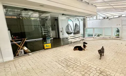 Apartamento em Embaré, Apartamento em Santos, Apartamento com 3 dorms, Apartamento à Venda em Embaré, Apartamento à Venda com 3 dorms