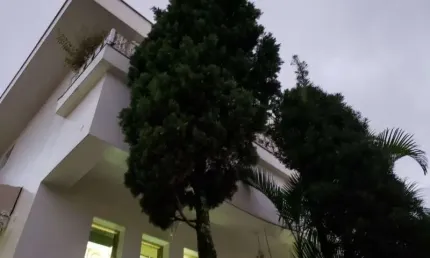 Casa com 4 quartos à venda na rua jesuíno de brito, 231, freguesia do ó, são paulo por r$ 1.980.000