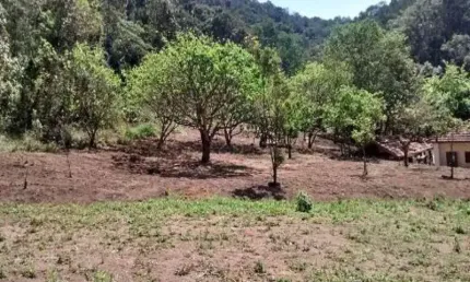 Terreno à venda, 2460 m² por r$ 1.300.000,00 - capoava - mairiporã/sp