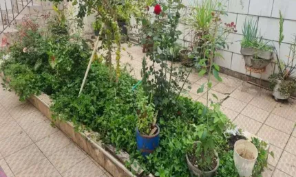 Terreno à venda na Rua São Ladislau, 103, Limão, São Paulo