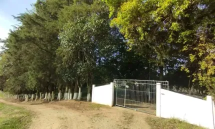 Chácara / sítio à venda na Rua Da Imigração Ucraniana, Guajuvira, Araucária por R$ 1.800.000
