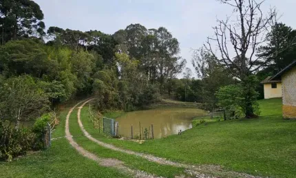 Chácara / sítio com 6 quartos à venda na rua arthur carvalho da rocha, campo largo da roseira, são josé dos pinhais por r$ 2.300.000