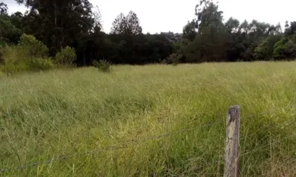 Chácara / sítio à venda no Campo Alegre IV, Bofete 