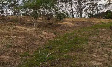 Terreno à venda, 27000 m² por R$ 3.240.000,00 - Quarta Divisão - Ribeirão Pires/SP