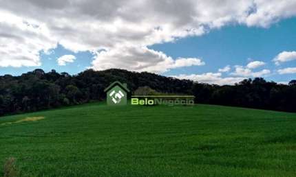 Terreno à venda na Rodovia Pr 423 Km 10, Lagoa Suja, Araucária