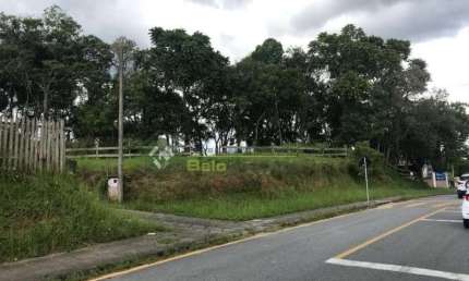 Terreno à venda na Rua Rua Paulo Alves Pinto, Centro, Araucária