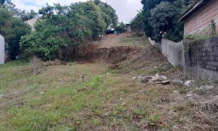 Terreno à venda na Rua Júlia Ohpis, Porto das Laranjeiras, Araucária