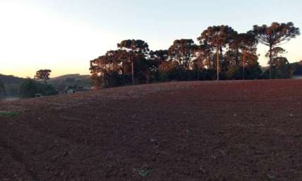 TERRENO - GRANDES AREAS - RIO ABAIXINHO - ARAUCARIA