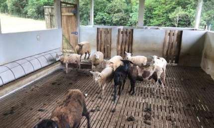 FAZENDA no VILA NOVA - ZONA RURAL com 0 quartos para VENDA, 129238 m²