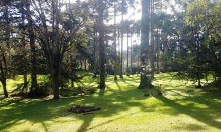 TERRENO no CASCATAS com 0 quartos para VENDA, 19127 m²