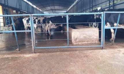 Fazenda á venda - 109 Hectares - localização entre Varginha e Pouso Alegre