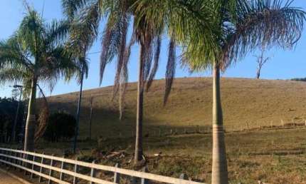 Fazenda á venda em Piranguinho - MG com 32 hectares