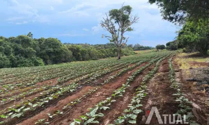 Fazenda de Café Produtiva – 47 Alqueires em Monte Santo de Minas