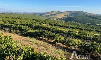FAZENDA DE ALTO PADRÃO – 729 HECTARES – MINAS GERAIS