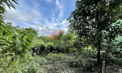 Terreno à venda em Cotia-SP, na Vila Santo Antônio, com 907m² de área! Aproveite esta oportunidade única!