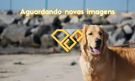 Apartamento com 3 quartos à venda no Ponta da Praia, Santos 