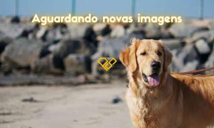 Apartamento com 3 quartos para alugar no Marapé, Santos 