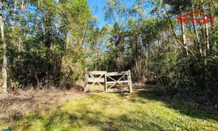 Chácara / sítio com 2 quartos à venda na Estrada Bairro Do Monte Alegre, Centro, Piedade