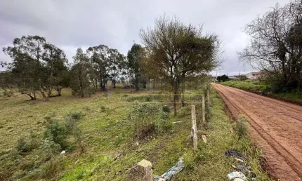 Terreno à venda na rua joão alves figueiredo, 000, quississana, são josé dos pinhais por r$ 10.185.000