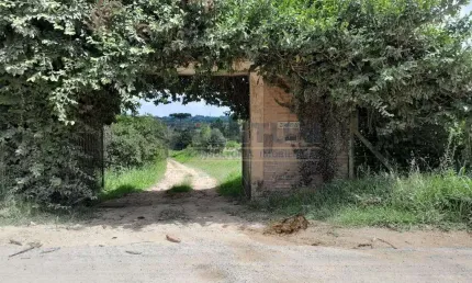 Terreno à venda na Rua Hermenegildo Soares Machado, 3048, Borda do Campo, São José dos Pinhais por R$ 22.217.959