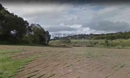 Terreno à venda na Rua Alcebíades da Cruz, 00, Campo Largo da Roseira, São José dos Pinhais, 424105 m2 por R$ 17.000.000