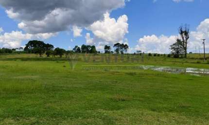 Terreno à venda na Avenida Vereador Domingos Benvenuto Moletta, 00, Campo Largo da Roseira, São José dos Pinhais por R$ 3.580.000