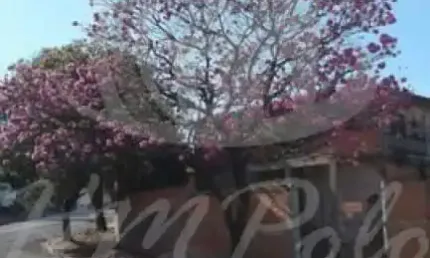 Casa com 4 quartos à venda na Rua Miguel de Campos Bueno Filho, Parque Valença I, Campinas