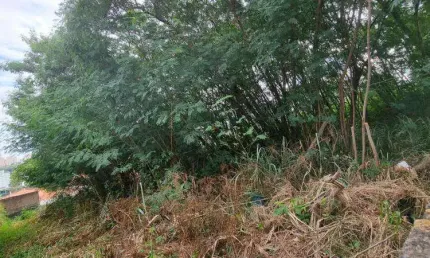 Terreno à venda na Rua Alcides de Godoy, Jardim Paraíso, Campinas