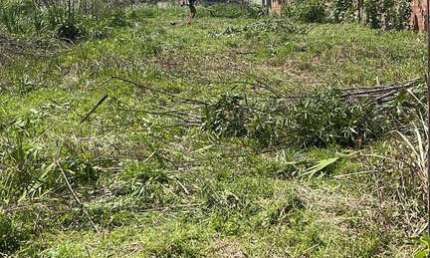 Terreno comercial à venda no Santo Antônio, São José dos Pinhais , 5030 m2 por R$ 6.500.000