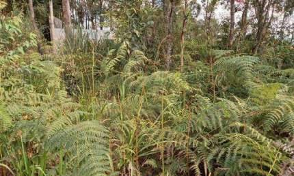 Terreno à venda na Alameda dos Pinheiros, 180, Santa Inês, Mairiporã