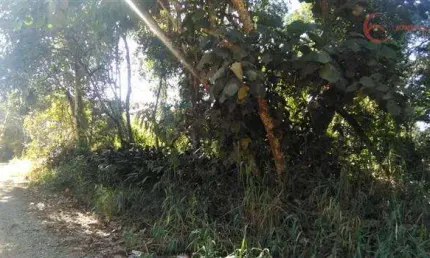 Terreno à venda na Alameda dos Pinheiros, 180, Alpes de Mairiporã, Mairiporã