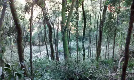Terreno à venda na Alameda dos Pinheiros, 180, Capoavinha, Mairiporã